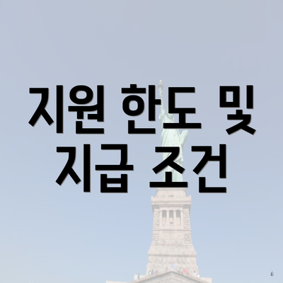 지원 한도 및 지급 조건