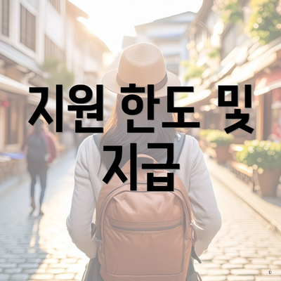 지원 한도 및 지급