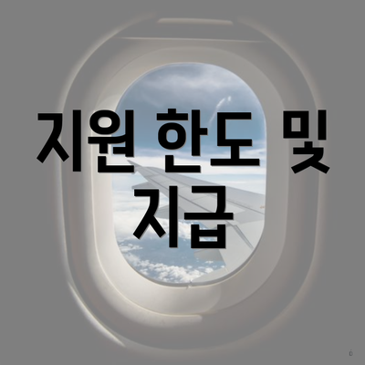 지원 한도 및 지급