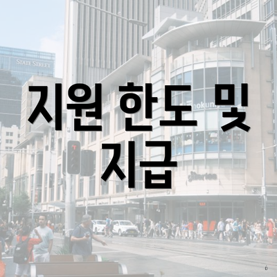 지원 한도 및 지급