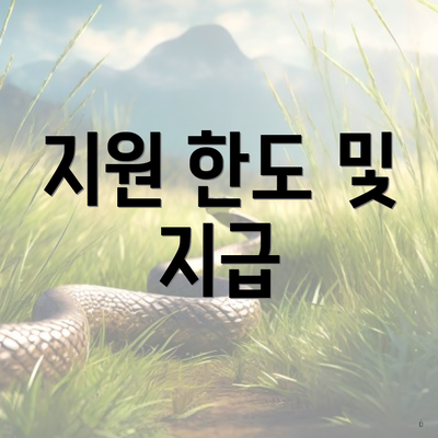 지원 한도 및 지급