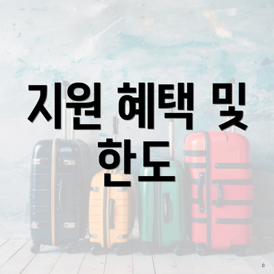 지원 혜택 및 한도
