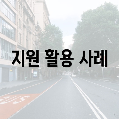 지원 활용 사례
