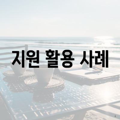 지원 활용 사례