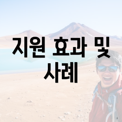 지원 효과 및 사례