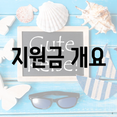 지원금 개요