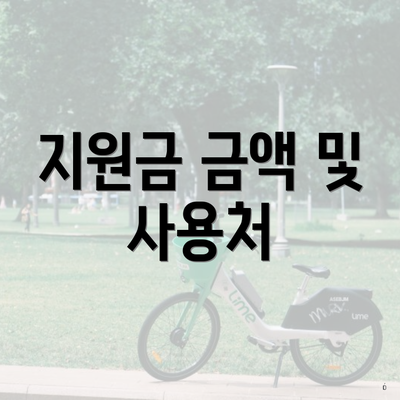 지원금 금액 및 사용처