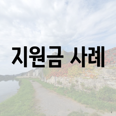 지원금 사례