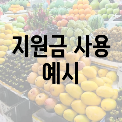 지원금 사용 예시