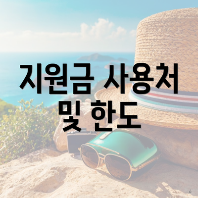 지원금 사용처 및 한도