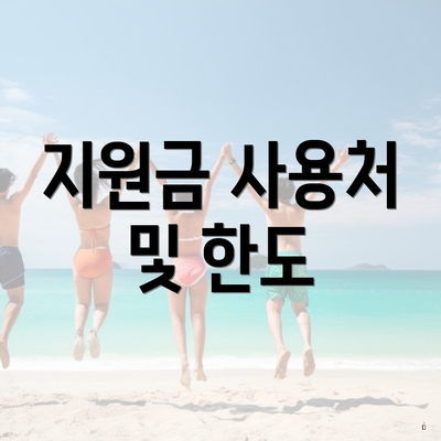지원금 사용처 및 한도