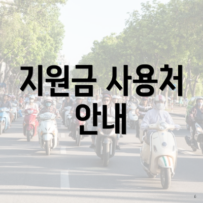 지원금 사용처 안내