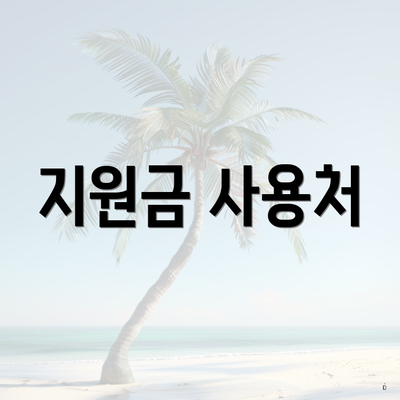 지원금 사용처