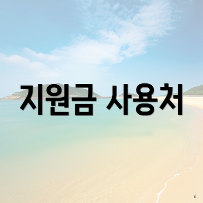 지원금 사용처