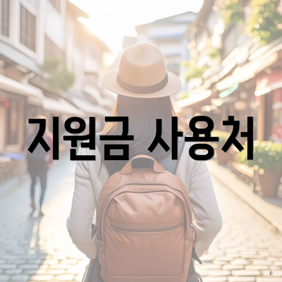 지원금 사용처