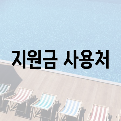 지원금 사용처