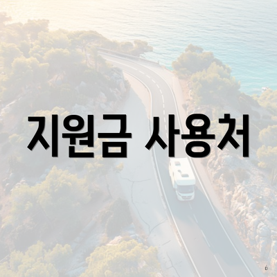 지원금 사용처