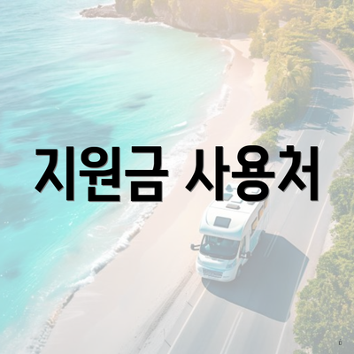 지원금 사용처