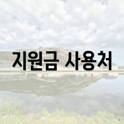 지원금 사용처