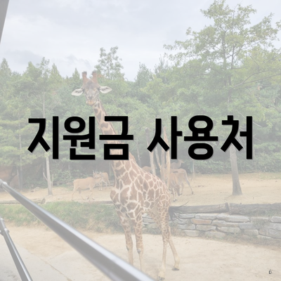 지원금 사용처