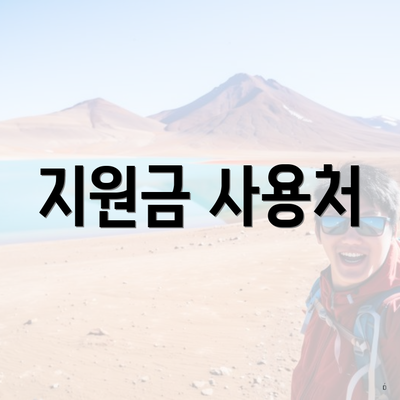 지원금 사용처