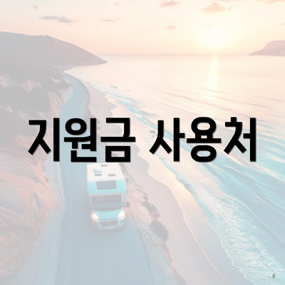 지원금 사용처