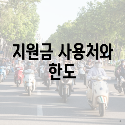 지원금 사용처와 한도