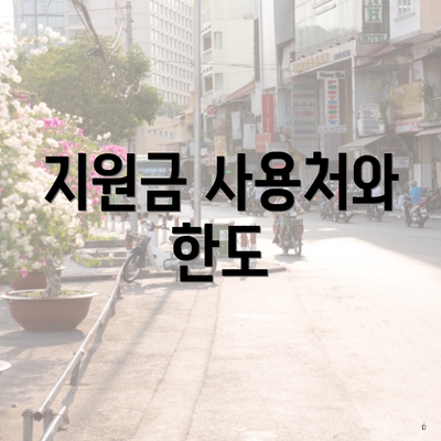 지원금 사용처와 한도