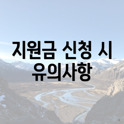 지원금 신청 시 유의사항