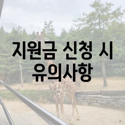 지원금 신청 시 유의사항