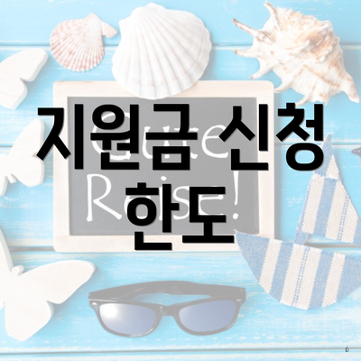 지원금 신청 한도