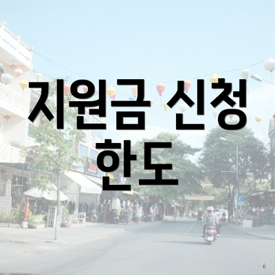 지원금 신청 한도
