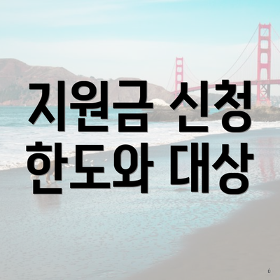 지원금 신청 한도와 대상
