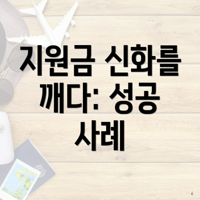 지원금 신화를 깨다: 성공 사례