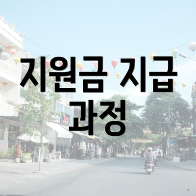 지원금 지급 과정
