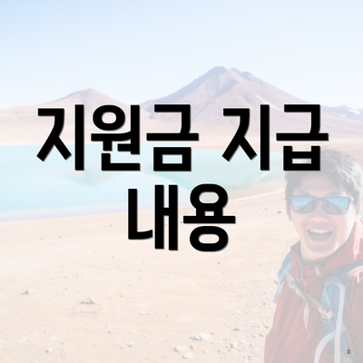 지원금 지급 내용