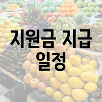 지원금 지급 일정
