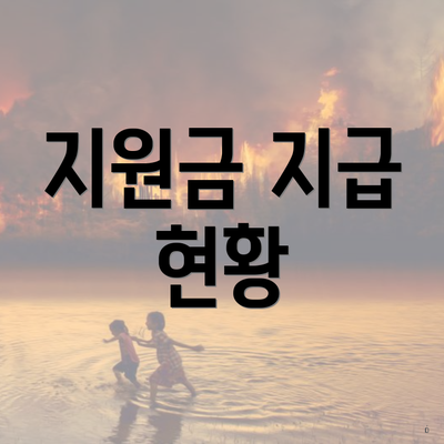 지원금 지급 현황
