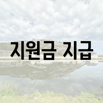 지원금 지급