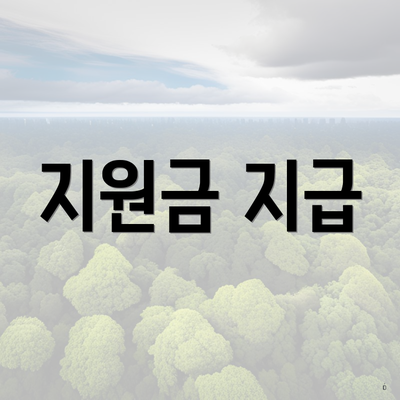 지원금 지급