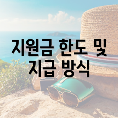 지원금 한도 및 지급 방식