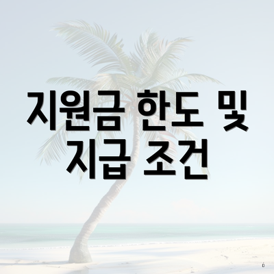 지원금 한도 및 지급 조건