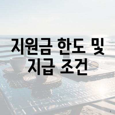 지원금 한도 및 지급 조건