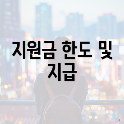 지원금 한도 및 지급