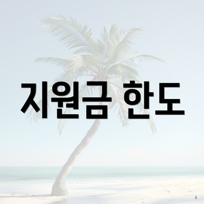 지원금 한도