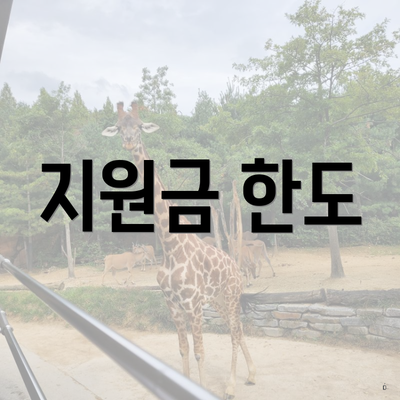지원금 한도
