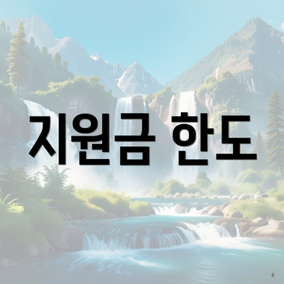 지원금 한도