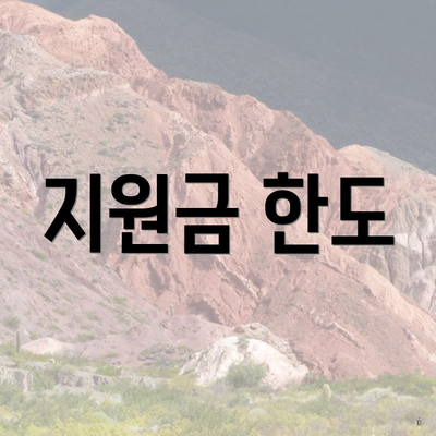 지원금 한도
