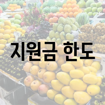 지원금 한도
