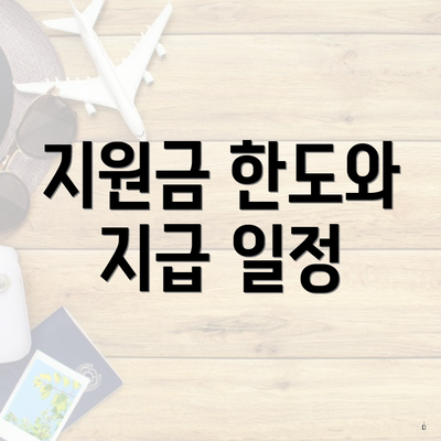 지원금 한도와 지급 일정